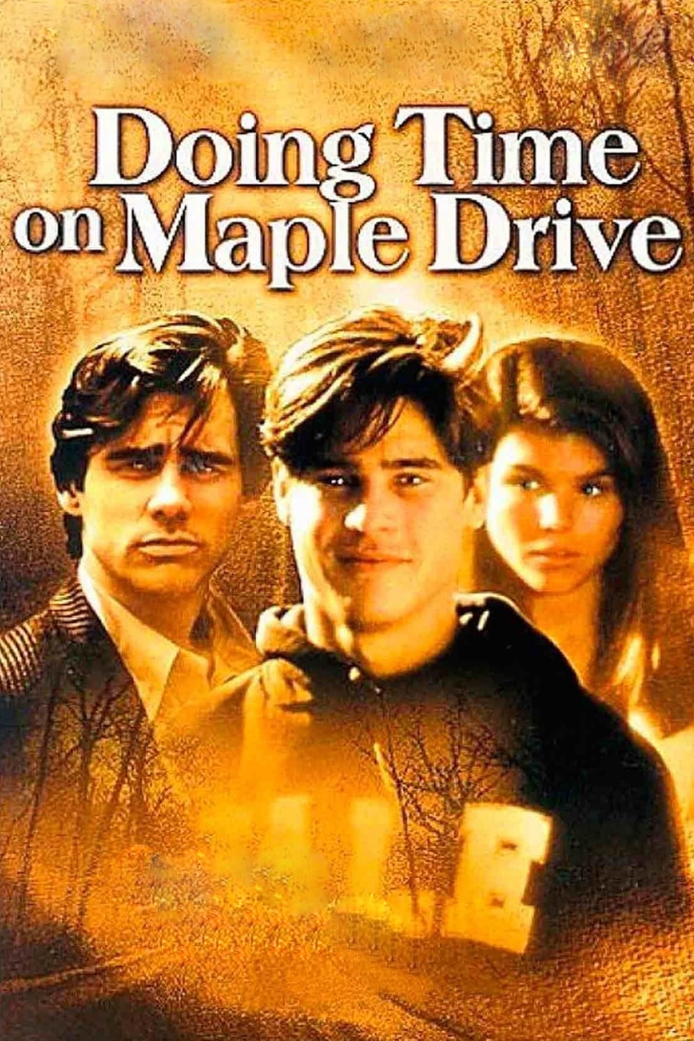 Постер Doing Time on Maple Drive